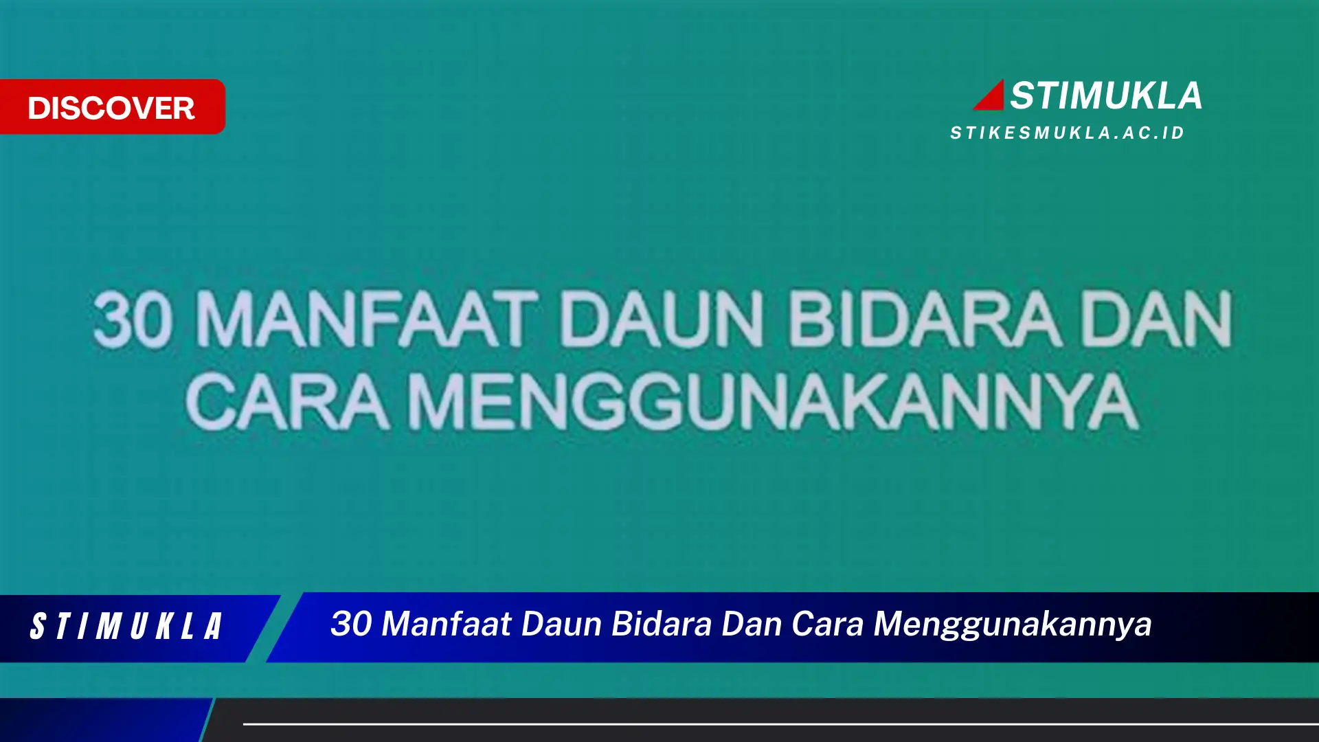 Temukan 10 Rahasia Manfaat Daun Bidara yang Wajib Kamu Ketahui