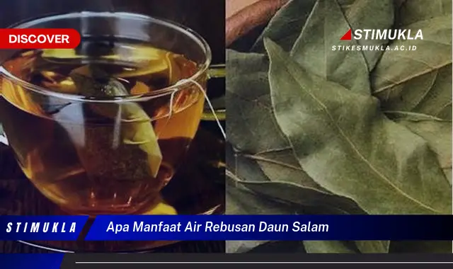 apa manfaat air rebusan daun salam