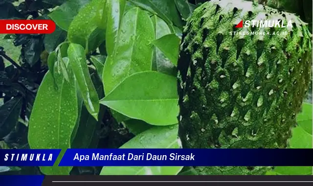 apa manfaat dari daun sirsak