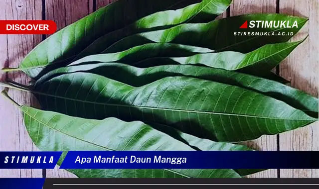 apa manfaat daun mangga