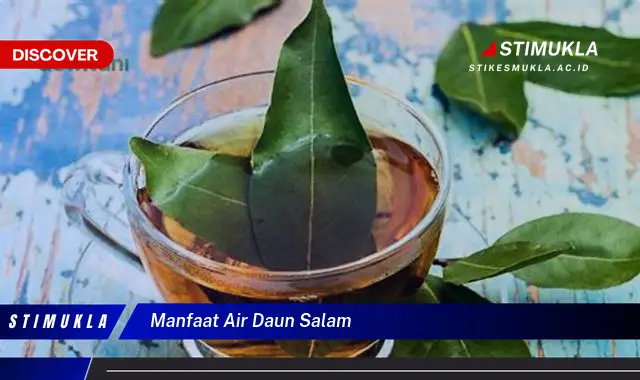 manfaat air daun salam