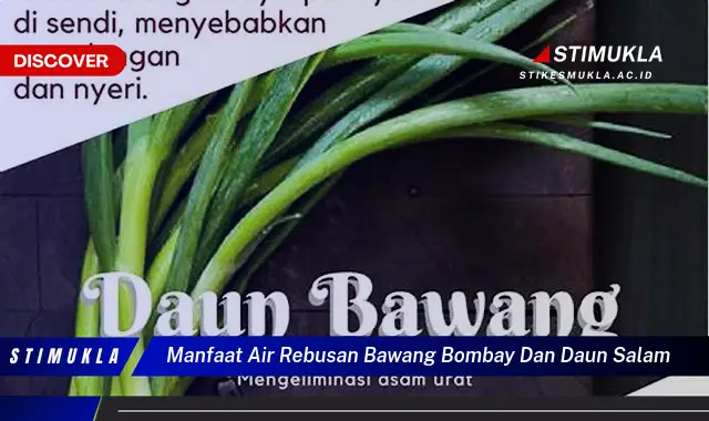 manfaat air rebusan bawang bombay dan daun salam