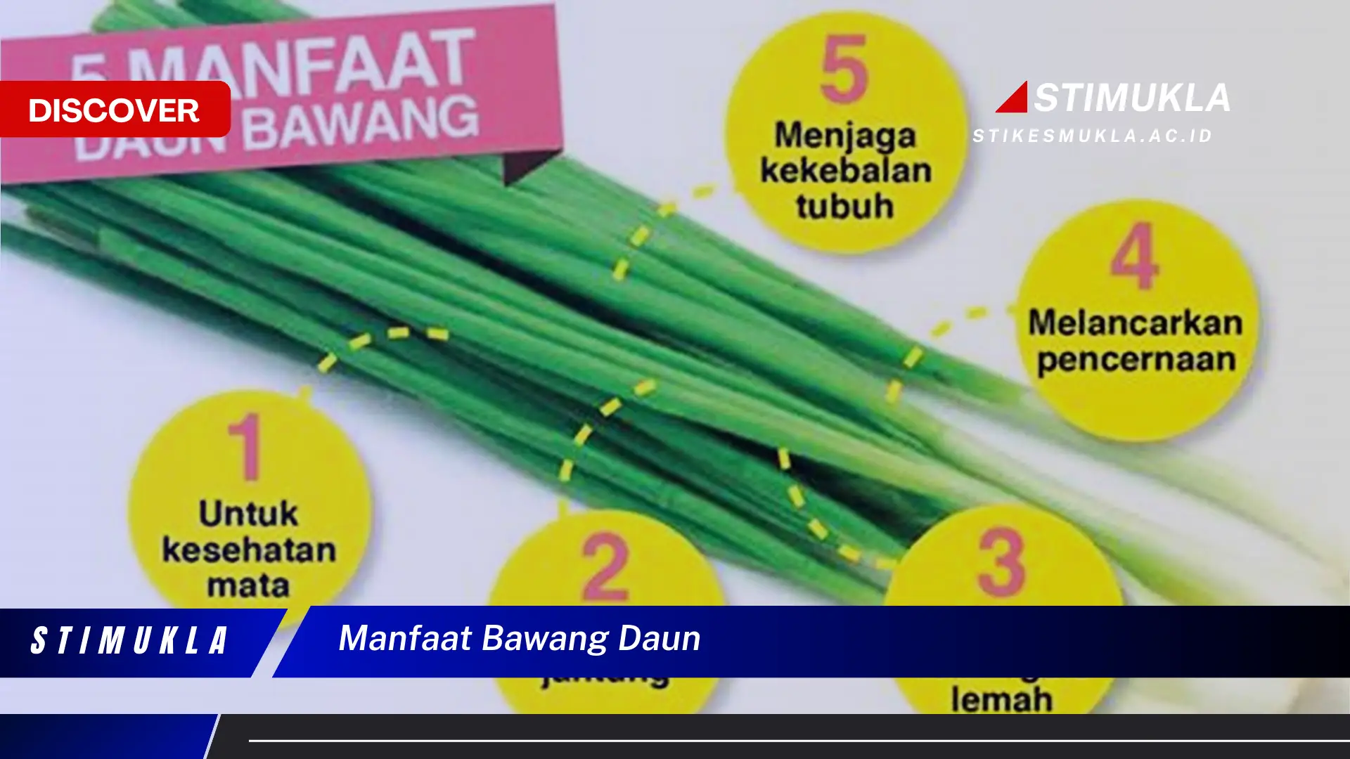 manfaat bawang daun