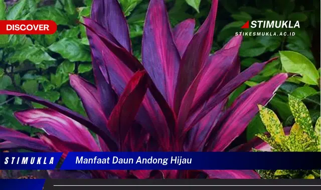 manfaat daun andong hijau