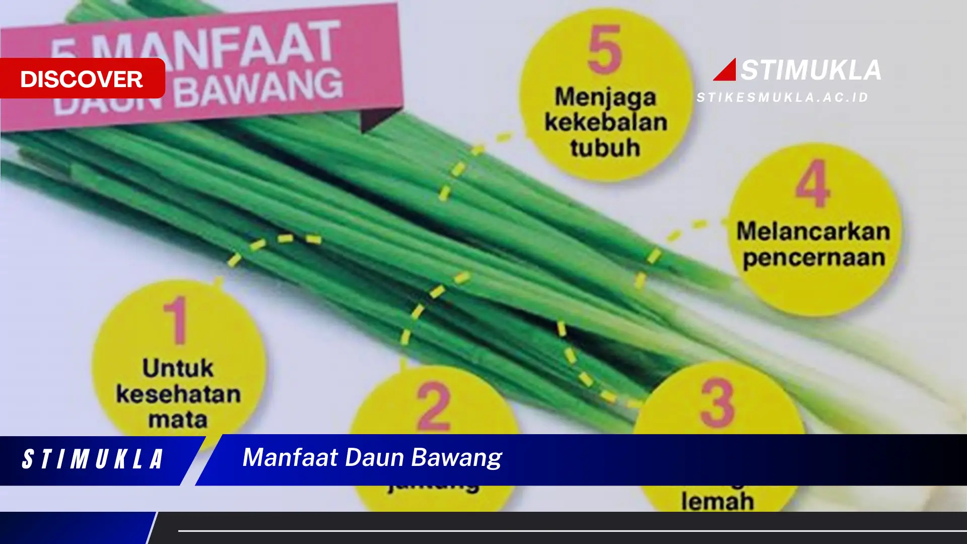 manfaat daun bawang