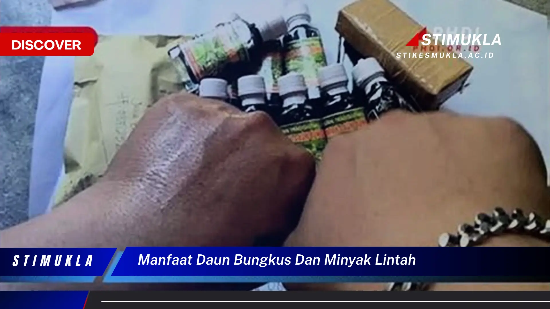 manfaat daun bungkus dan minyak lintah