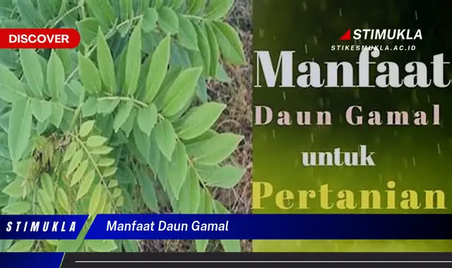 manfaat daun gamal