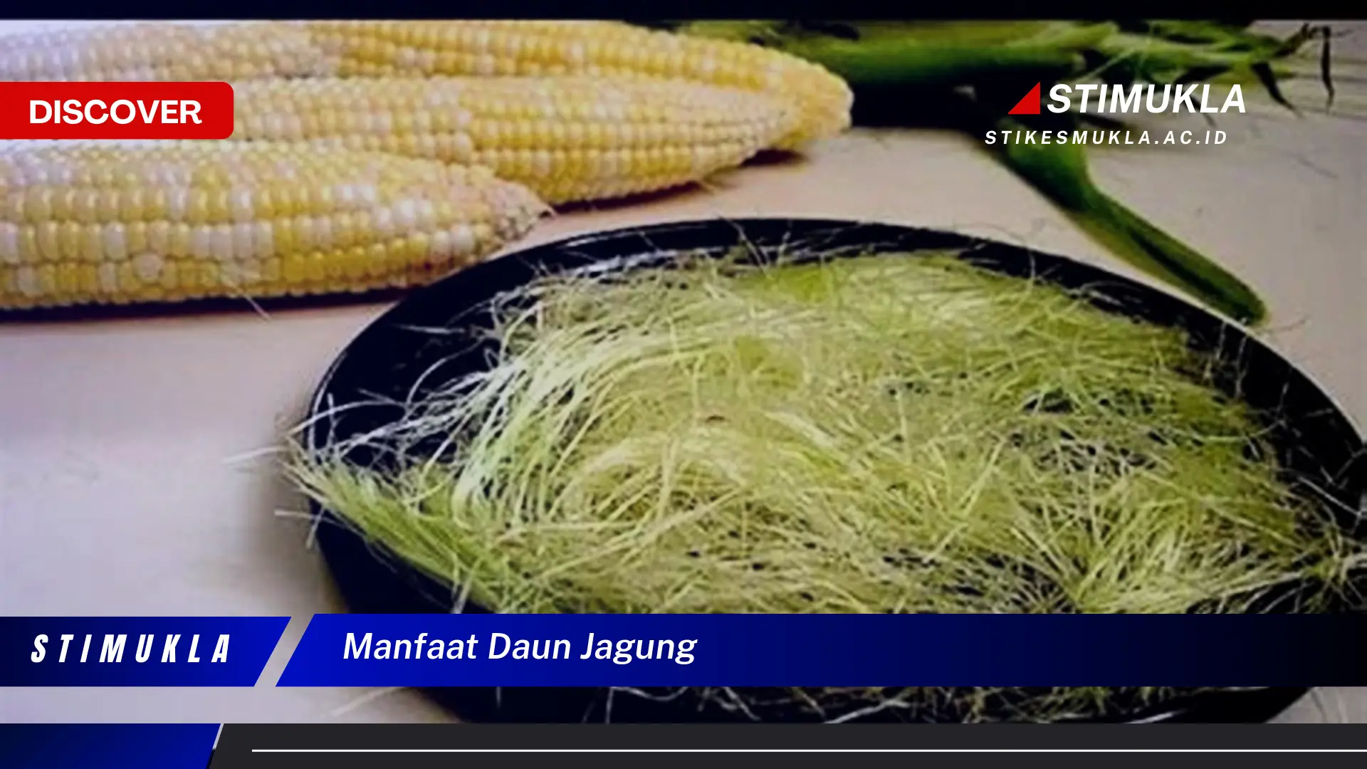 manfaat daun jagung