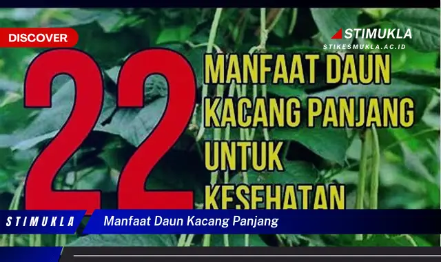 Bukan cuma daun pegagan? Kamu wajib tahu 10 manfaat daun kacang panjang yang Bikin Penasaran!