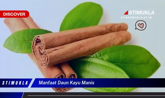 manfaat daun kayu manis