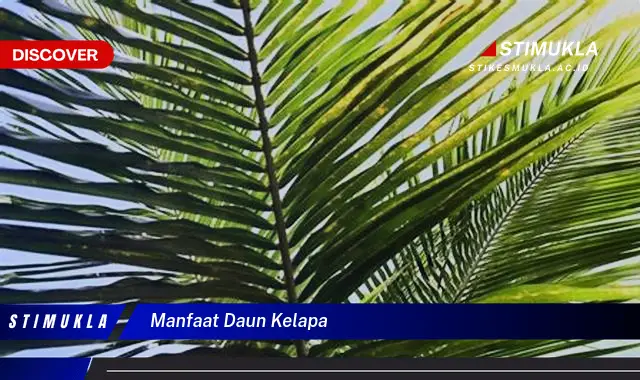 manfaat daun kelapa