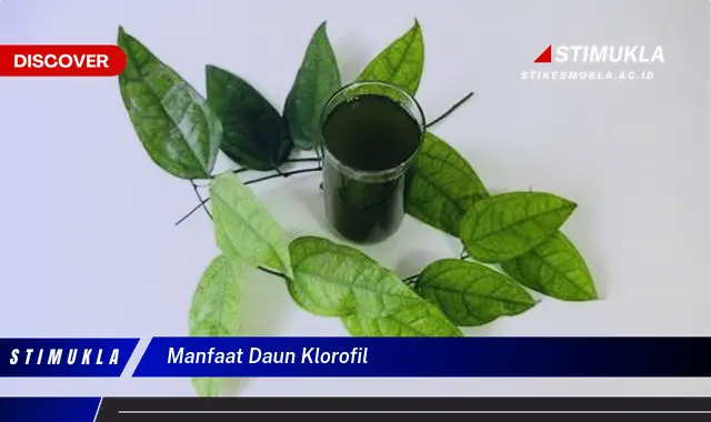 manfaat daun klorofil