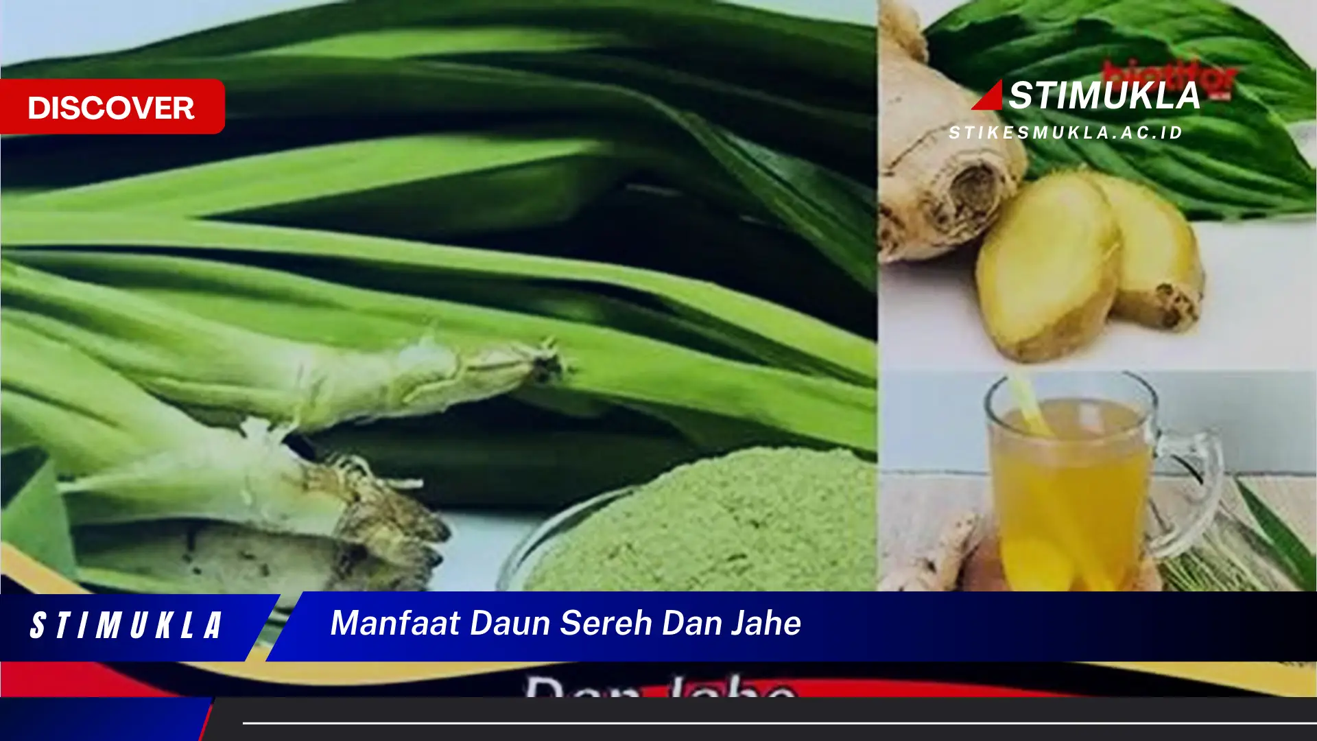 manfaat daun sereh dan jahe