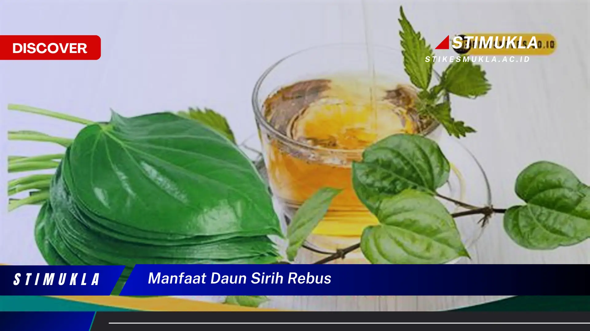 manfaat daun sirih rebus