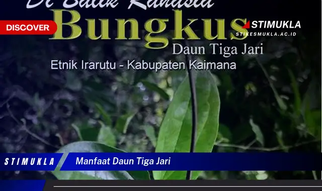 manfaat daun tiga jari