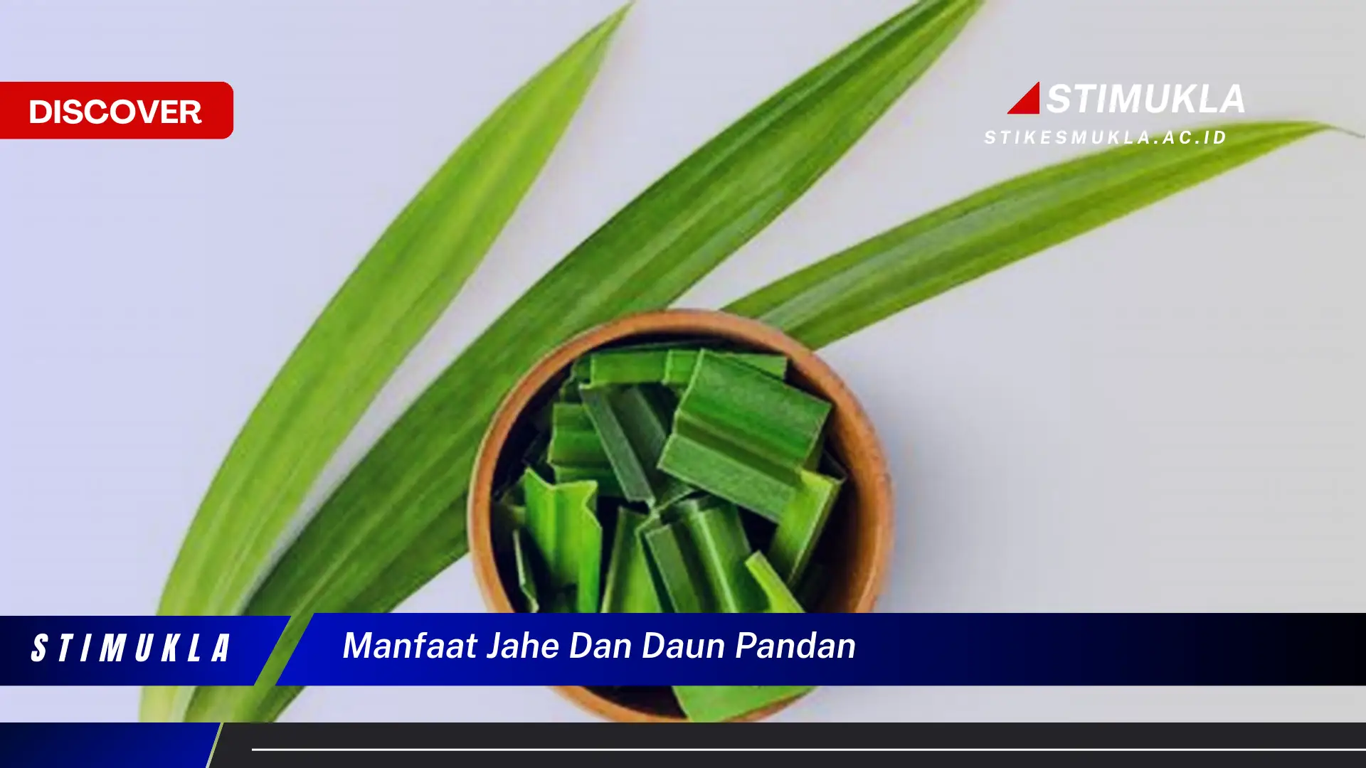 Ketahui Manfaat Jahe dan Daun Pandan untuk Kesehatan Anda