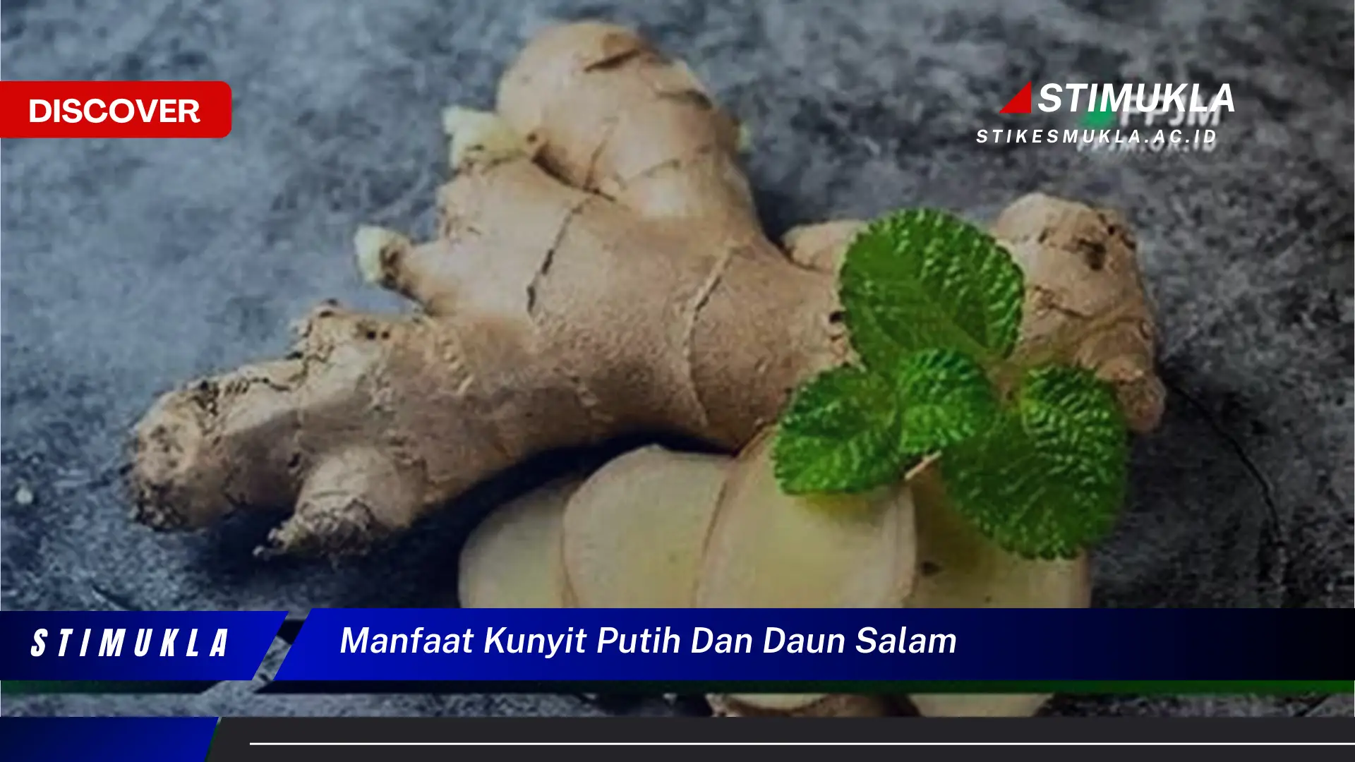 manfaat kunyit putih dan daun salam