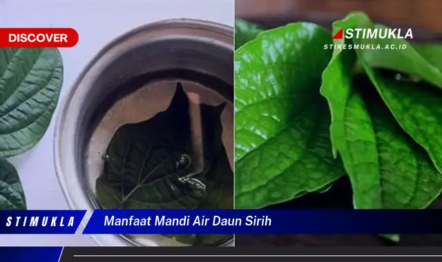 manfaat mandi air daun sirih