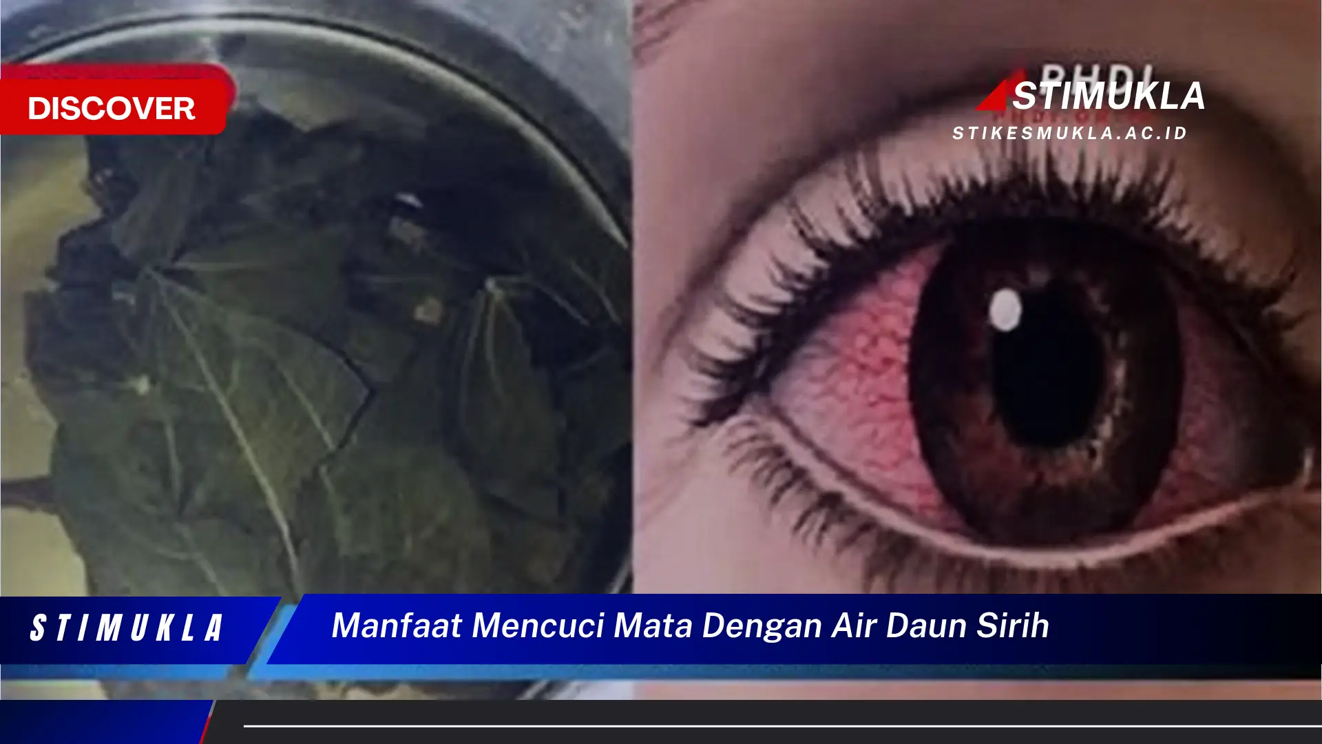 manfaat mencuci mata dengan air daun sirih