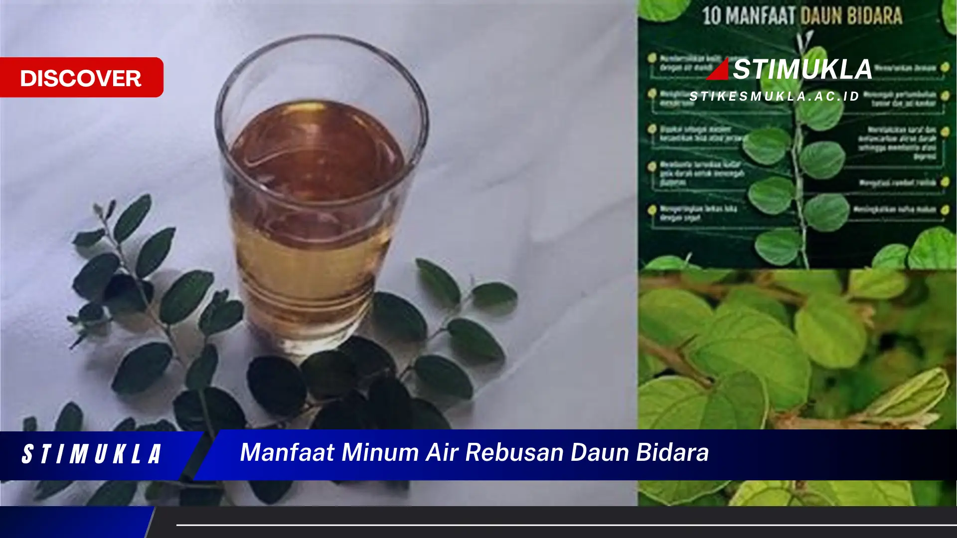 Ketahui 8 Manfaat Minum Air Rebusan Daun Bidara untuk Kesehatan Tubuh Anda