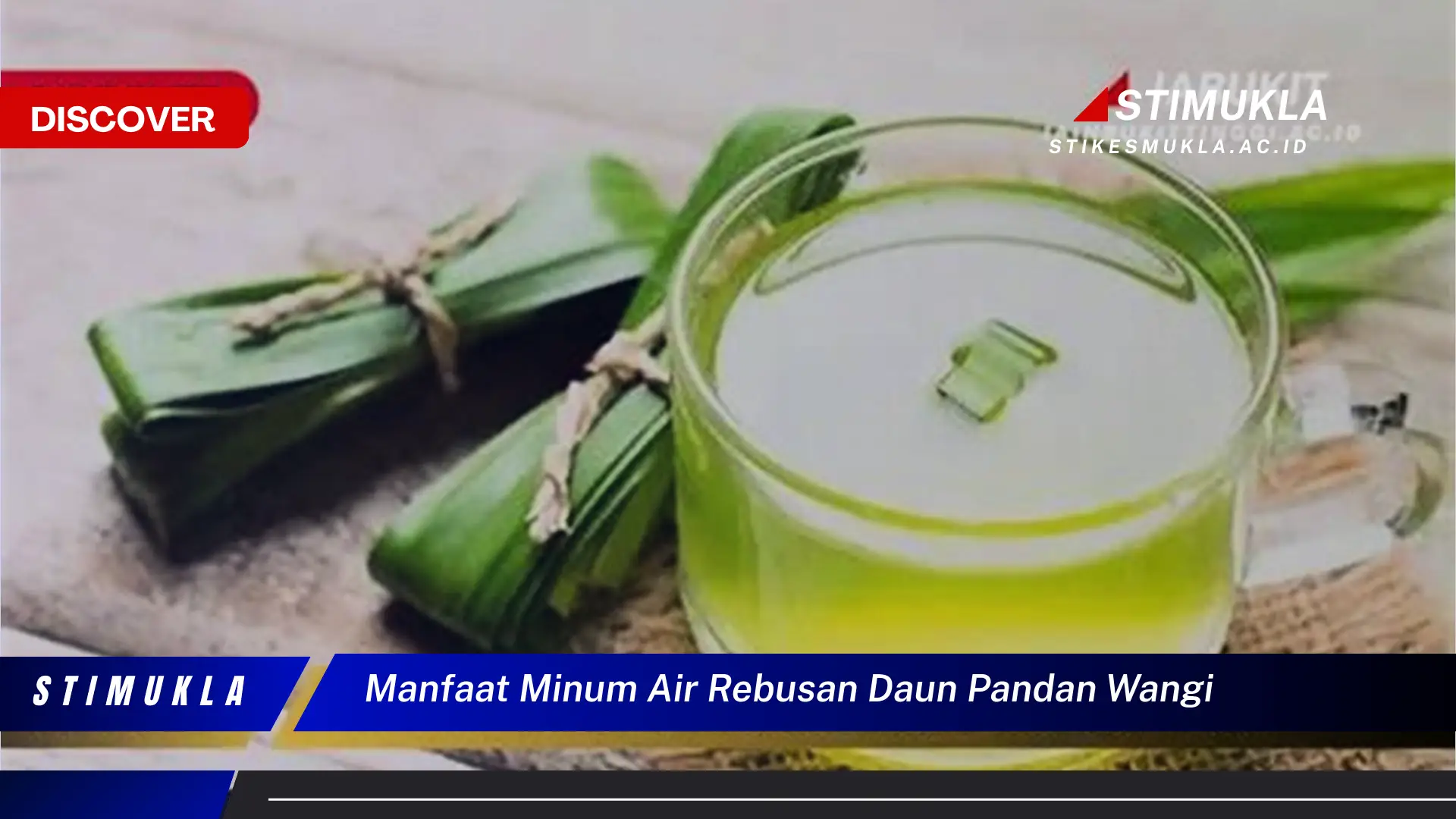 manfaat minum air rebusan daun pandan wangi