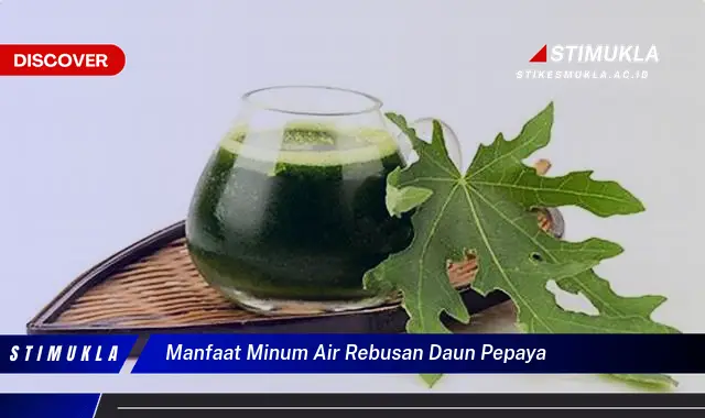 manfaat minum air rebusan daun pepaya