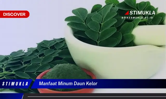 manfaat minum daun kelor