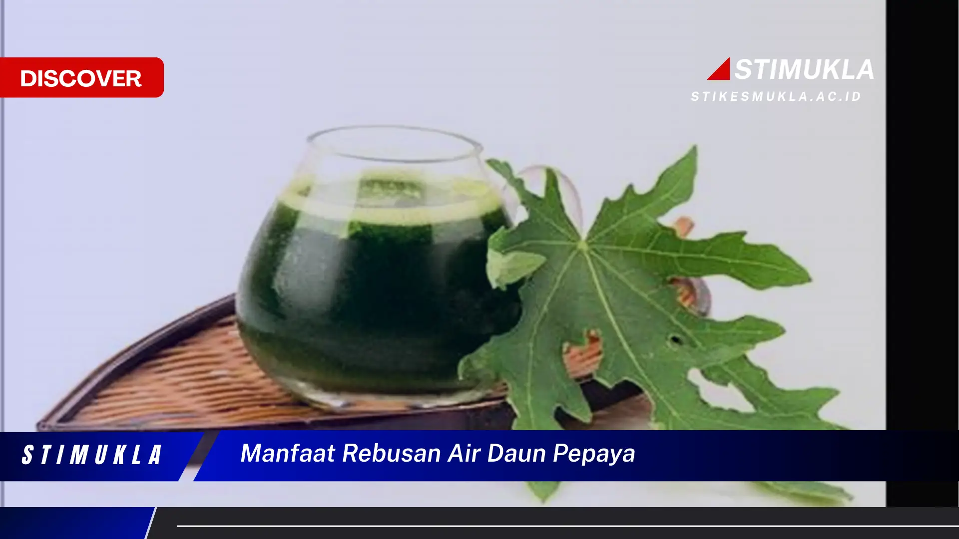 manfaat rebusan air daun pepaya