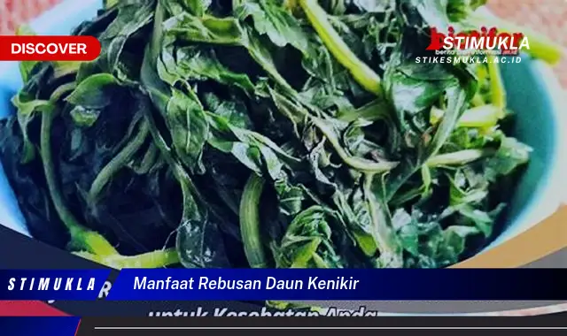 manfaat rebusan daun kenikir