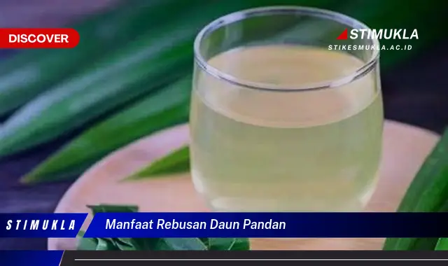 manfaat rebusan daun pandan