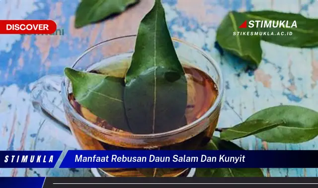 manfaat rebusan daun salam dan kunyit