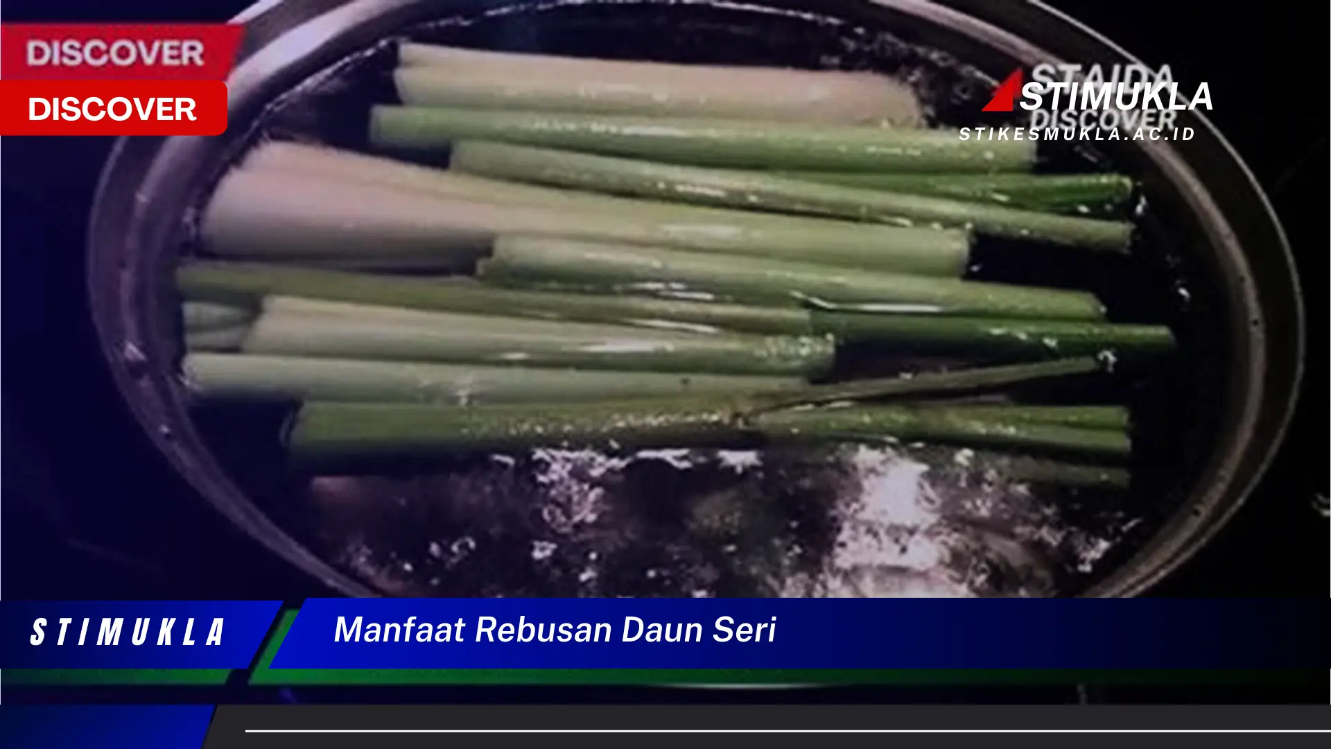 manfaat rebusan daun seri