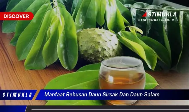 manfaat rebusan daun sirsak dan daun salam