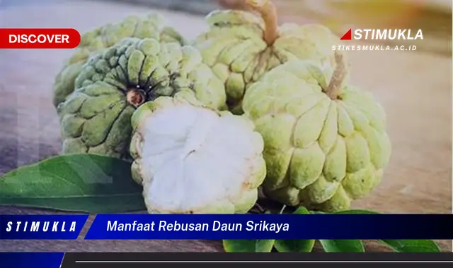 manfaat rebusan daun srikaya