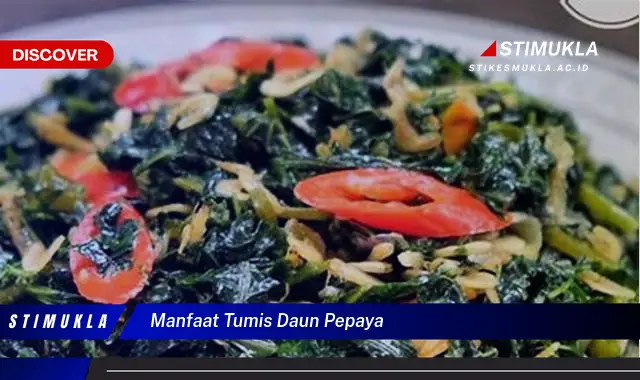 manfaat tumis daun pepaya