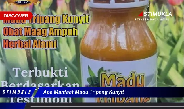 apa manfaat madu tripang kunyit