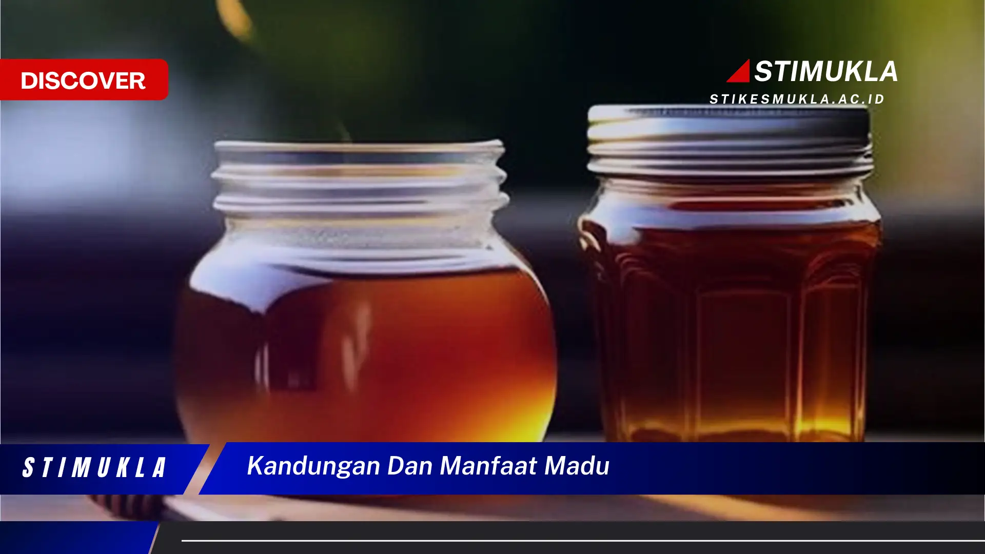 kandungan dan manfaat madu