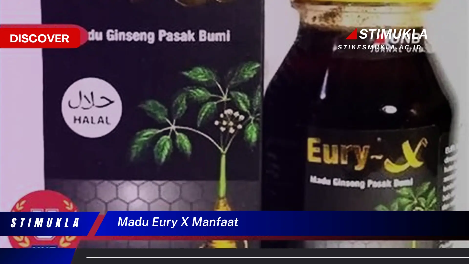 madu eury x manfaat