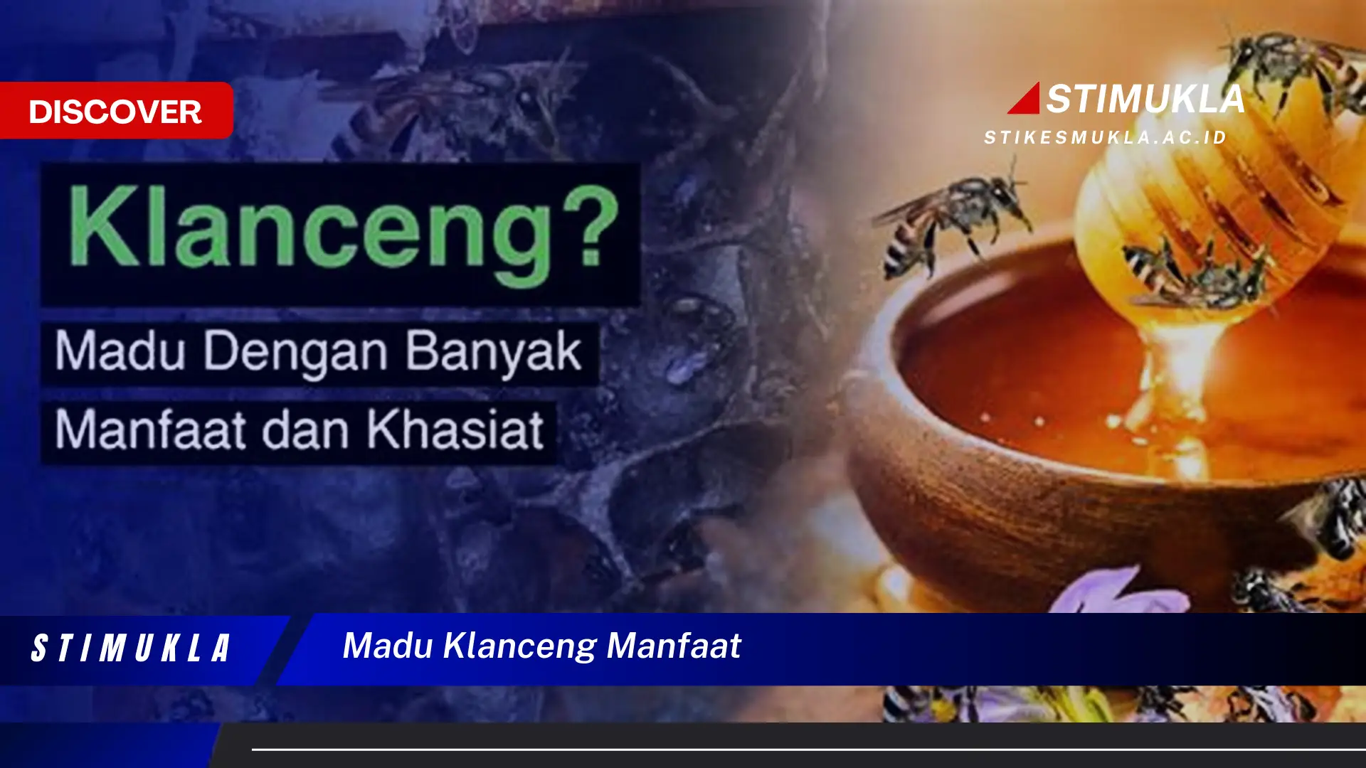 madu klanceng manfaat madu klanceng manfaat