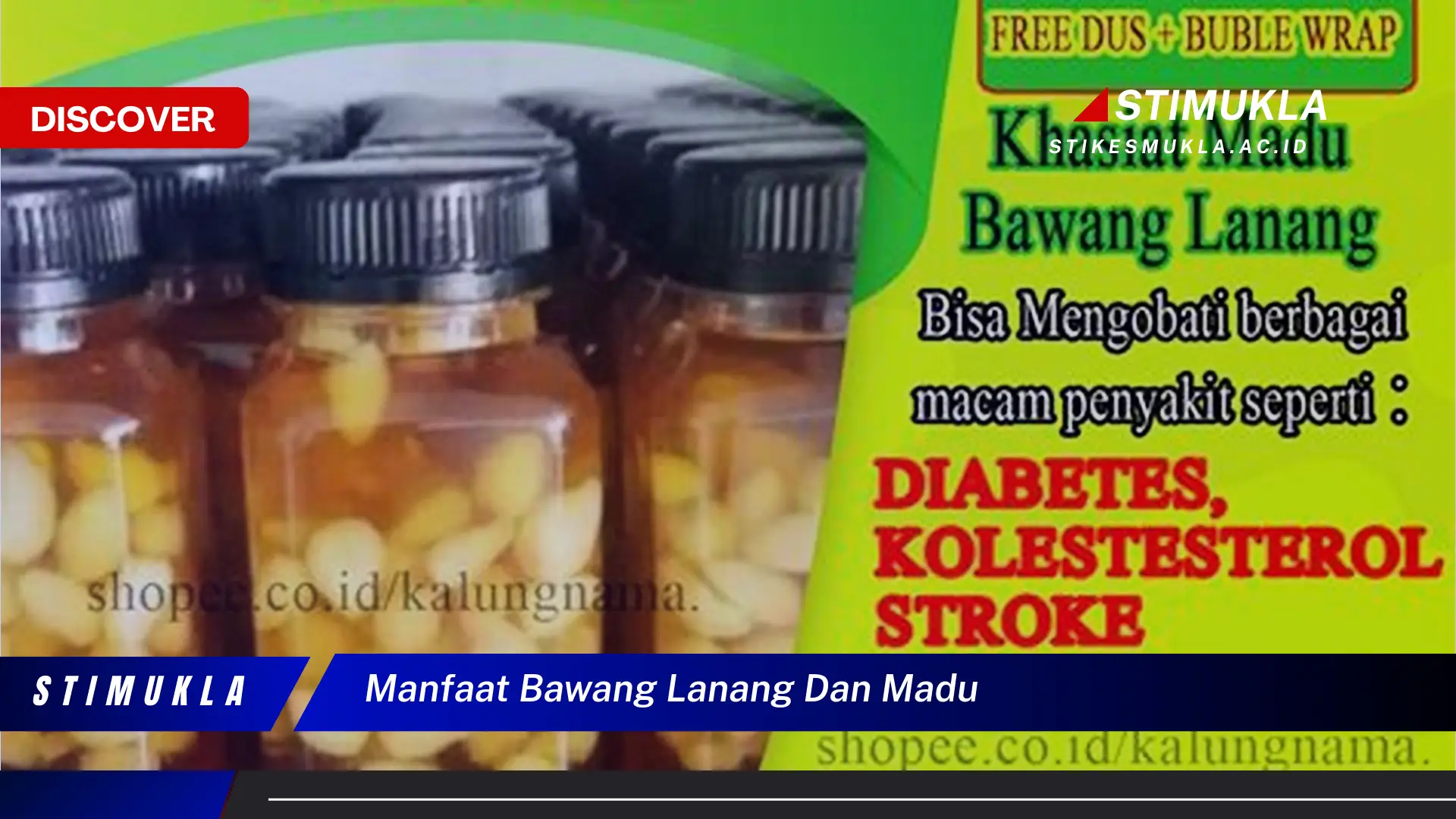 manfaat bawang lanang dan madu