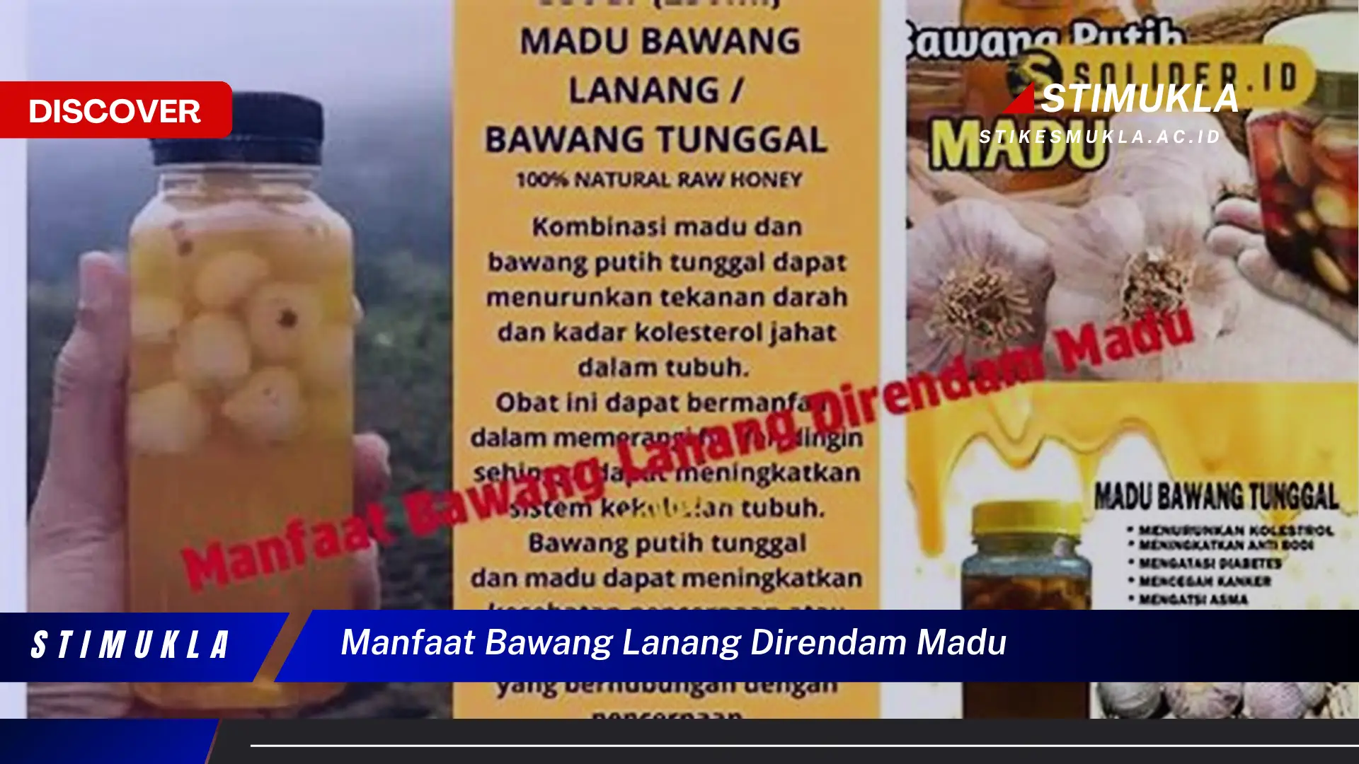 manfaat bawang lanang direndam madu