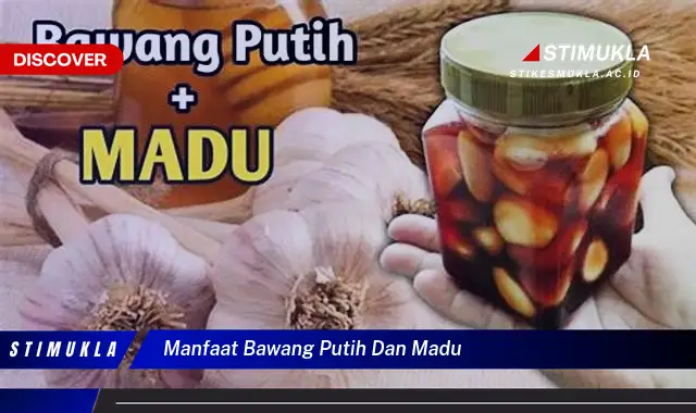 manfaat bawang putih dan madu