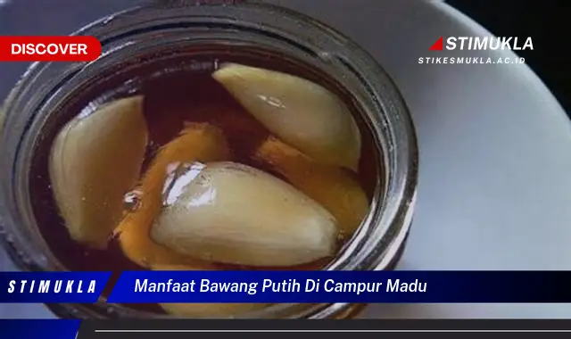 manfaat bawang putih di campur madu