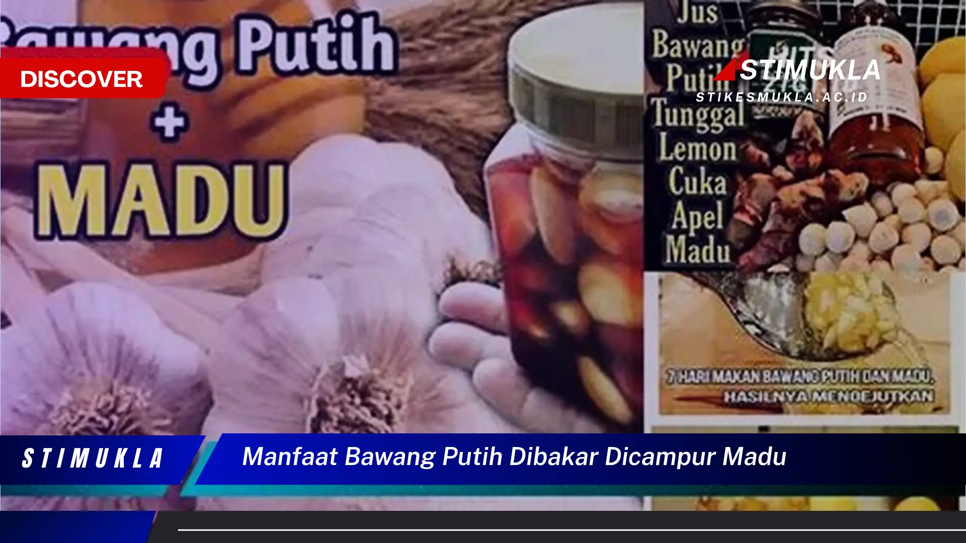 manfaat bawang putih dibakar dicampur madu manfaat bawang putih dibakar dicampur madu