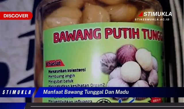 Ketahui 10 Manfaat Bawang Tunggal dan Madu yang Bikin Kamu Penasaran