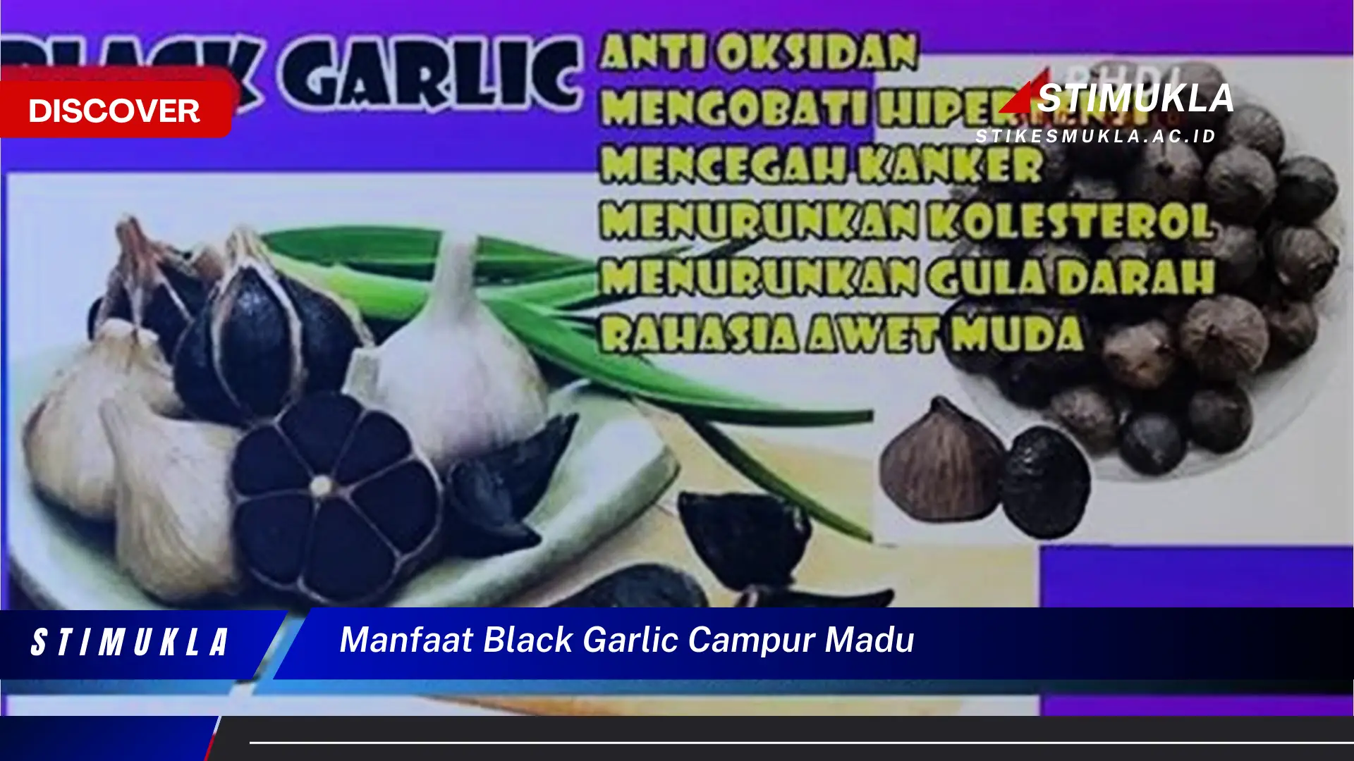 manfaat black garlic campur madu manfaat black garlic campur madu