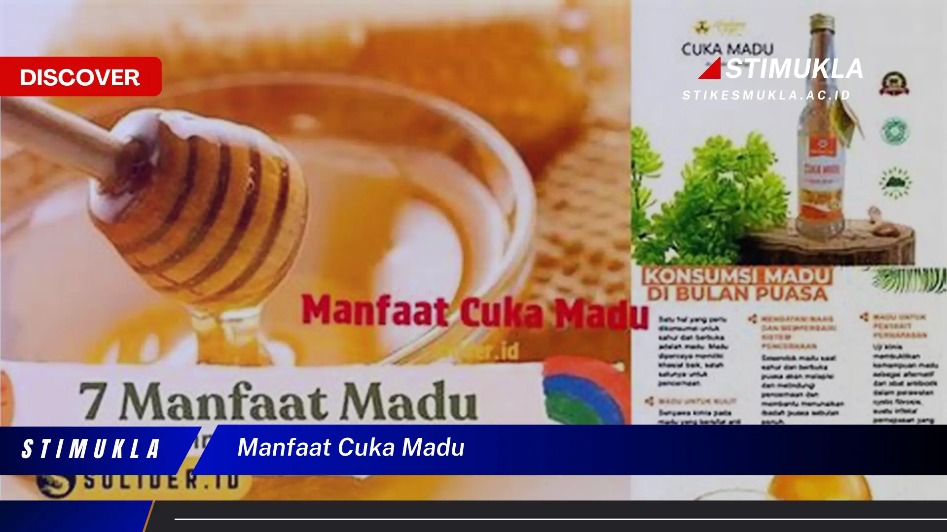 manfaat cuka madu