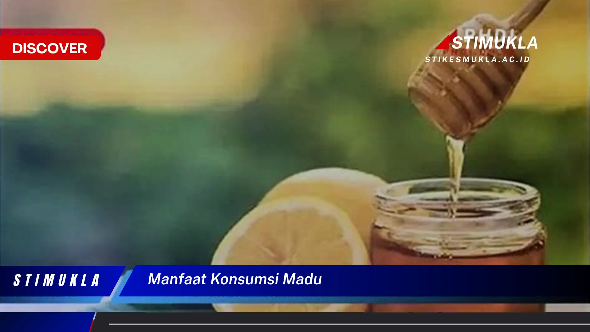 manfaat konsumsi madu