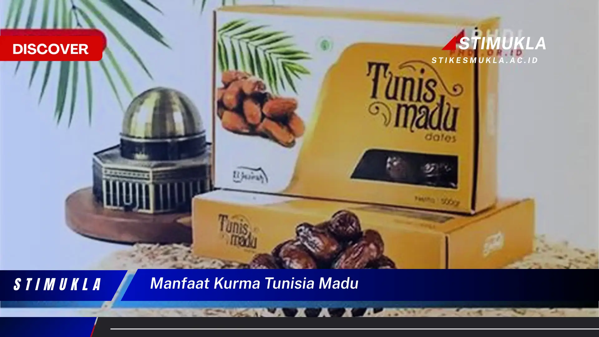 manfaat kurma tunisia madu