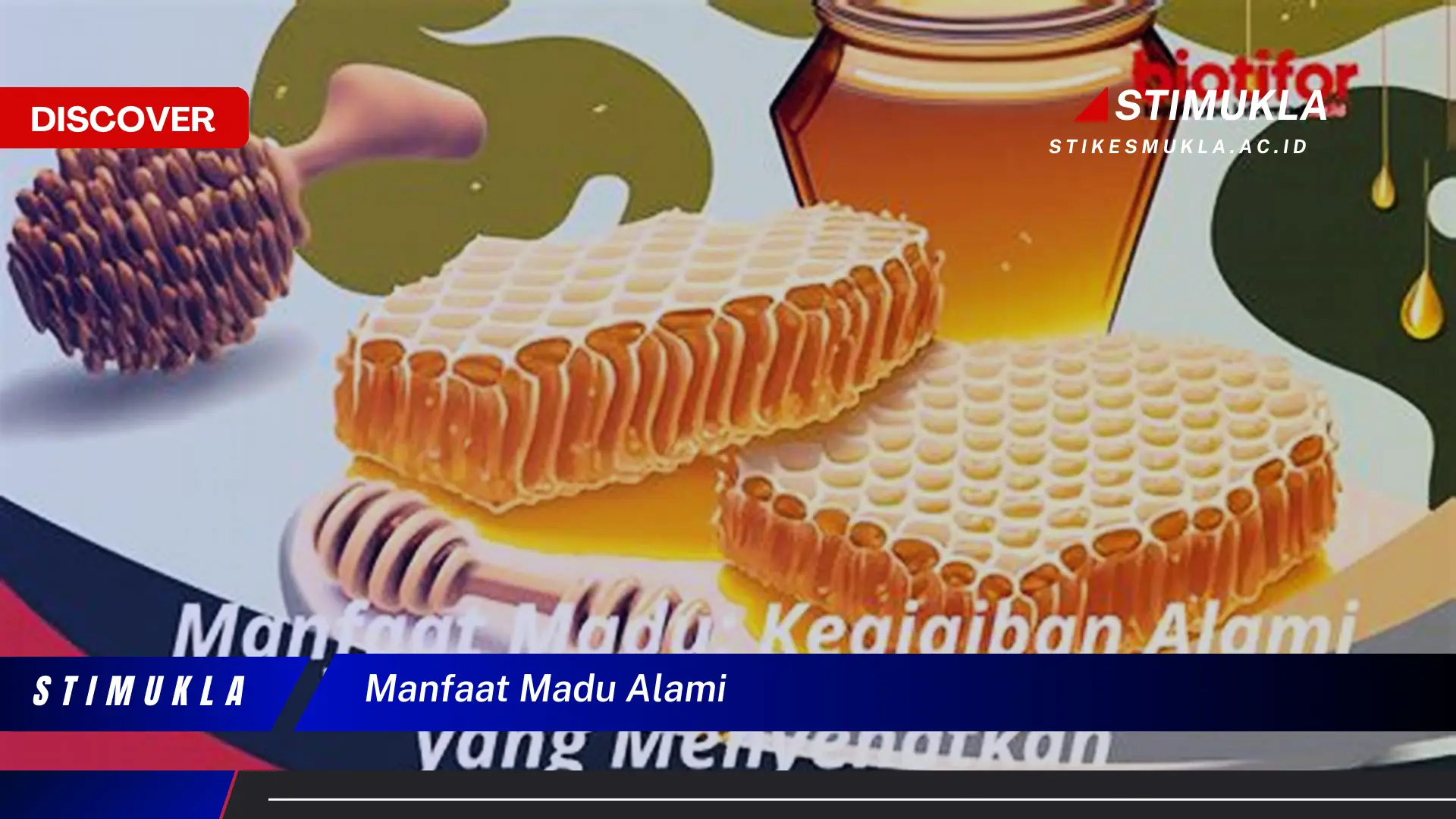 manfaat madu alami